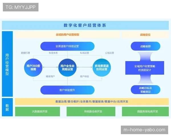 多平台分发策略成为行业标配 驱动广告营销模式向精准化与互动化演进